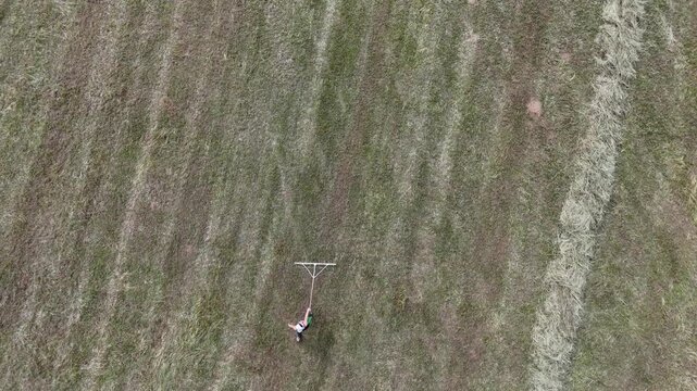 fieno rastrello a mano agricoltura 