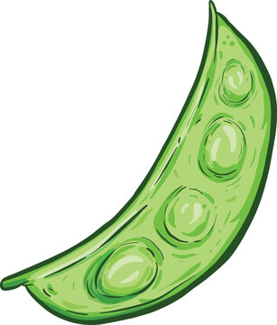 Mange Tout Pea Pod Vegetable character Illustration