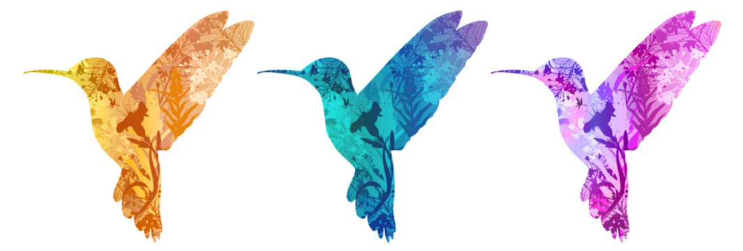 A set of hummingbirds for your design. The silhouettes feature a vibrant background with tropical flowers and insects. Isolated objects.	