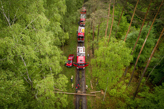 Aerial view of fire trucks lined up on a narrow dirt road through a dense green forest with firefighters clearing a fallen tree trunk in Debrzno, Pomeranian Voivodeship, Poland.