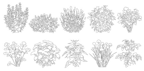 Fototapeta premium Set of herbs and bushes in elevation view for use in architectural drawings - isolated on transparent background 