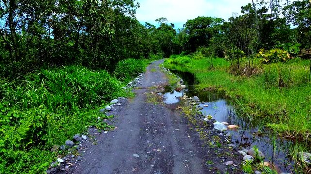 Rural Gravel Road Through Tropical Ecuador Countryside, Green Vegetation, Forest Edge, Wet Track and Remote Andean Amazon Travel Landscape
