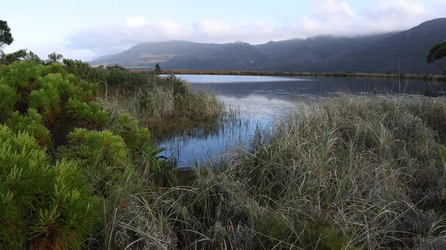 pond , grass , trees and Klein Mountains, Stanford, South Africa as the morning fog burns off