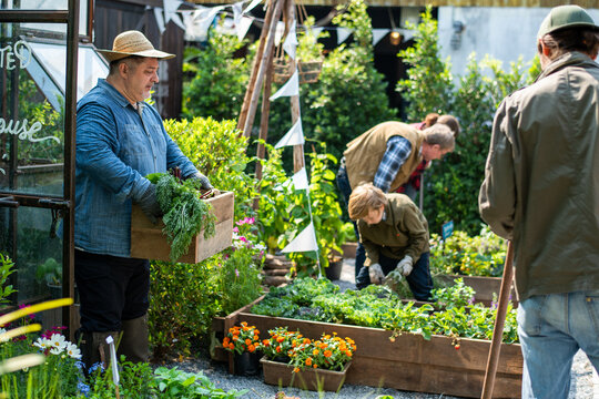 Community gardening teamwork outdoor harvest