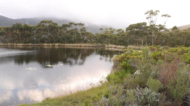 pond , grass , trees and Klein Mountains, Stanford, South Africa as the morning fog burns off