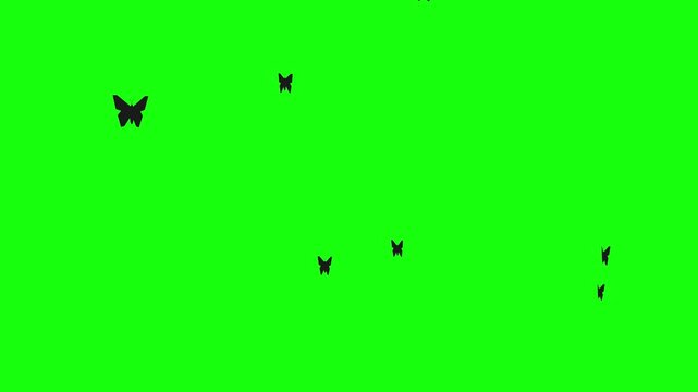looping animated video of silhouettes of a swarm of paper butterflies seen from above flying forward on green screen