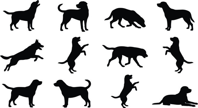 Collection of dog silhouettes in various poses including running jumping standing and begging on a white background