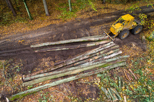 Aerial view of a yellow forestry tractor moving large timber logs on a muddy path through an autumn forest in Debrzno, Pomeranian Voivodeship, Poland.