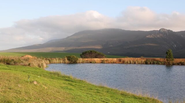 pond , grass , trees and Klein Mountains, Stanford, South Africa as the morning fog burns off