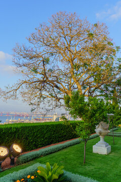 Bahai Gardens, downtown and harbor, Haifa