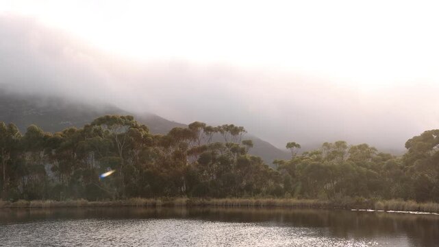 pond , grass , trees and Klein Mountains, Stanford, South Africa as the morning fog burns off