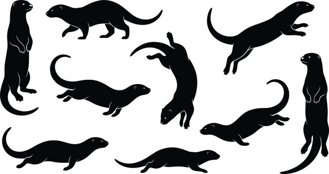 River Otter Black Silhouette Collection with Running Swimming Jumping and Standing Furry Weasel Animals Vector Graphic Design Elements
