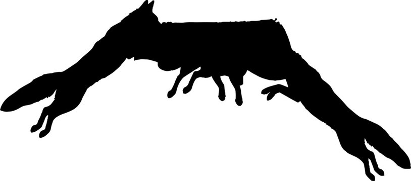 Silhouette of a flying squirrel in mid air.