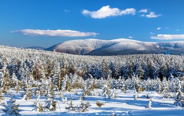 Mount Serak winter Jeseniky mountains Czech republic © Daniel Prudek