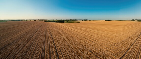 Fototapeta premium Panoramic view of plowed farmland under clear blue sky