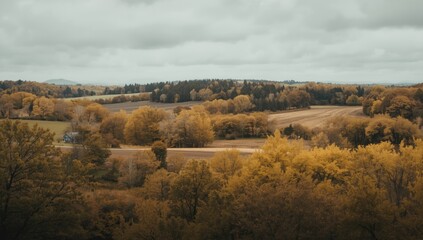 Obraz premium Autumn landscape with hills and golden trees