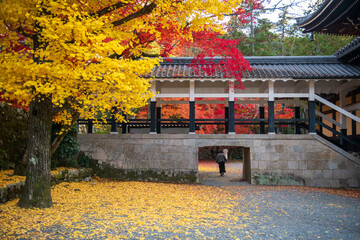 Obraz premium Tourist walk through Nanzenji temple tunnel with fall colors, Kyoto