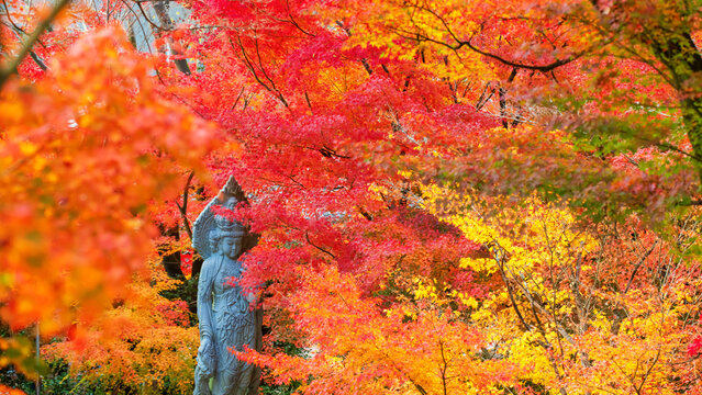 Guan Yin statue by colorful fall leaf tunnel at Eikando garden, Kyoto