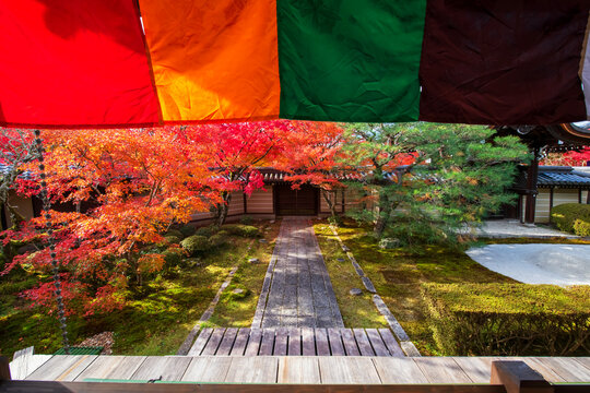 path by autumn leaf garden view from Eikando temple, Kyoto