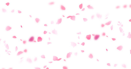 Beautiful floral overlay with flying pink petals at transparent background © Design Zone