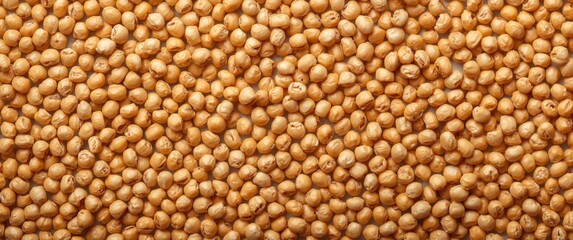 Fototapeta premium Close-up of many quinoa seeds on a surface