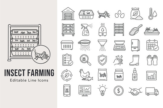 Insect farming line icons for cricket breeding, edible bug cultivation, alternative protein production, and sustainable agriculture