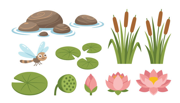 Pond nature elements vector set. Cute dragonfly, water lily pads, pink lotus flowers, cattail reeds, river stones and swamp wildlife icons.