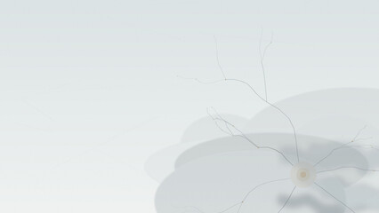 Abstract smoke wisps drifting on minimal white background © Liora Stone visuals
