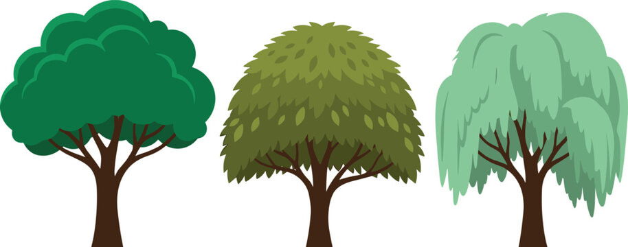 Realistic Deciduous Tree Collection Featuring Broadleaf Shade Tree, Ornamental Garden Tree, and Weeping Willow for Nature Landscape Designs