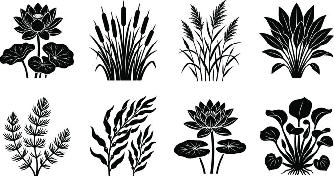 Set of black aquatic plants and pond flower silhouettes
