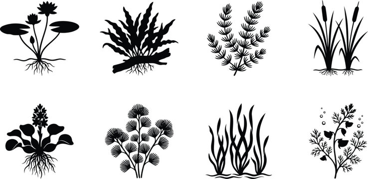 Set of black aquatic plants and water weeds silhouettes