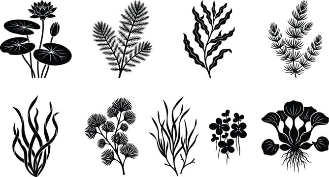 Set of black aquatic plants and water weeds icons