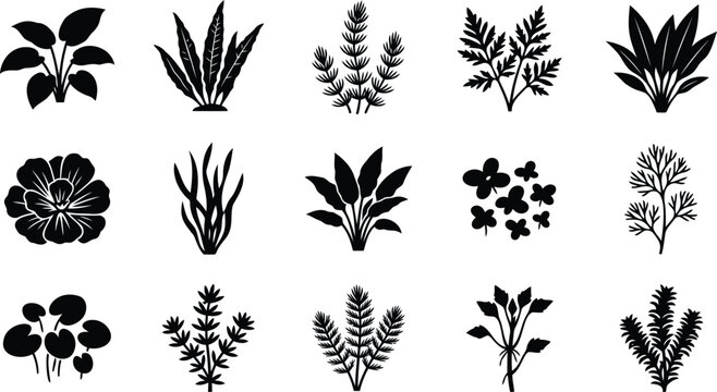 Set of black silhouette aquatic plants and water weeds