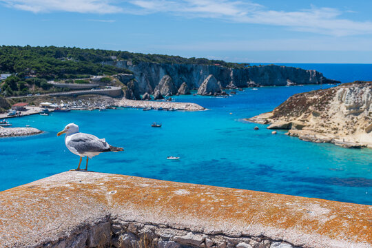 Scorcio delle Isole Tremiti - Foggia - Puglia - Italia	