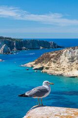Scorcio delle Isole Tremiti - Foggia - Puglia - Italia  © Sergiogen