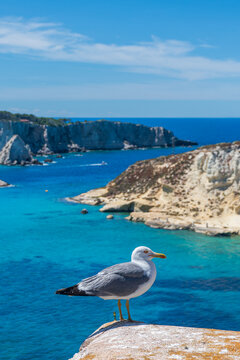Scorcio delle Isole Tremiti - Foggia - Puglia - Italia	