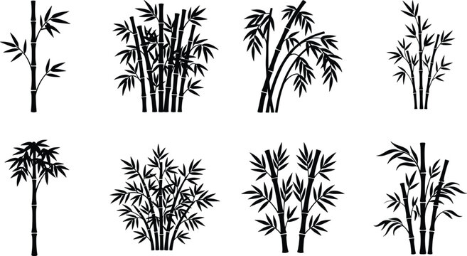 Bamboo Silhouette Collection with Tropical Stalks and Leafy Bamboo Clusters
