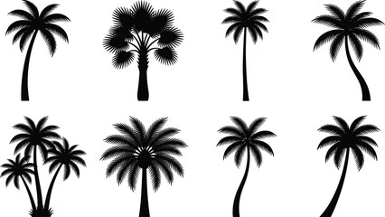 Obraz premium Palm Tree Silhouette Collection with Tropical Coconut and Island Vector Set