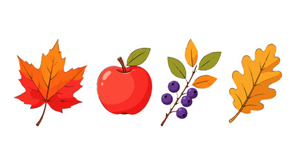 Autumn leaf fruit and berry fall season icon set © Alan