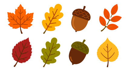 Autumn leaves and acorns flat vector set on white background © Alan