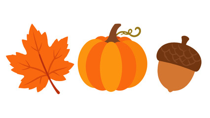 Autumn leaf pumpkin and acorn vector set on white © Alan