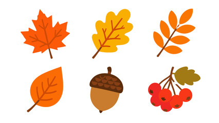 Autumn leaf, acorn and berry icon set in flat vector style © Alan