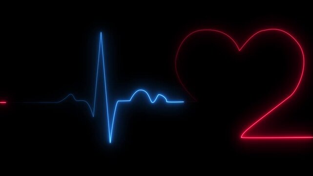 Neon heart cardiogram continuous one line drawing animation, animation Single solid line art cardiogram anatomical human heart silhouette. Healthy medicine and love concept one sketch outline design