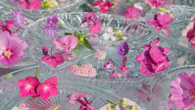 abstract art background with pink flowers on crystal and glass plates