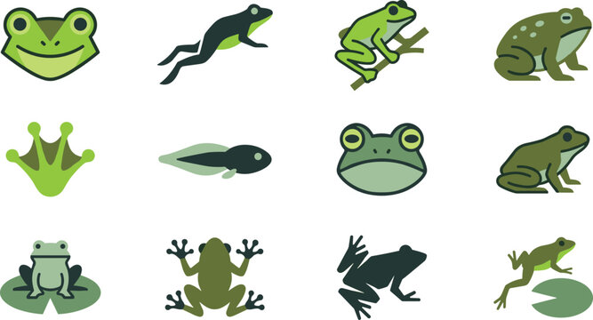 Frog life cycle vector icons collection featuring green toad jumping amphibian tadpole webbed foot print silhouette and lily pad elements isolated on white background.