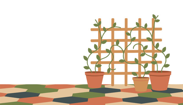 Wooden garden trellis supporting climbing green vines in terracotta pots placed on a colorful hexagonal tiled patio floor for outdoor landscaping inspiration.
