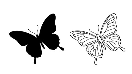 Butterfly Silhouettes And Outline Black And White Graphic © Imagevector