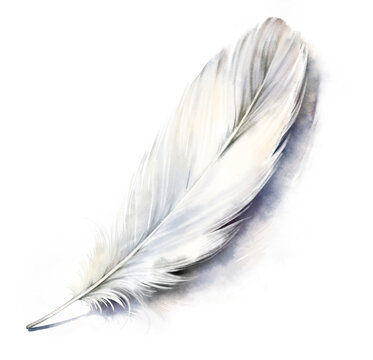 Watercolor hand drawn delicate white bird feather with soft shadow isolated on white background. Elegant minimalist vibrant light airy illustration. Lightness and cleanliness