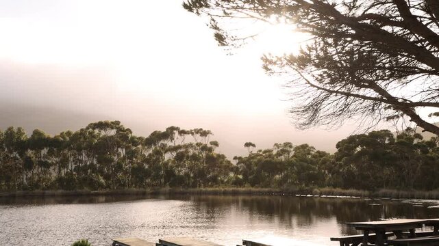 pond , grass , trees and Klein Mountains, Stanford, South Africa as the morning fog burns off