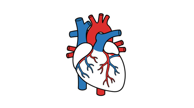 An anatomical illustration of a human liver organ with a simple shape is depicted in a clean graphic.